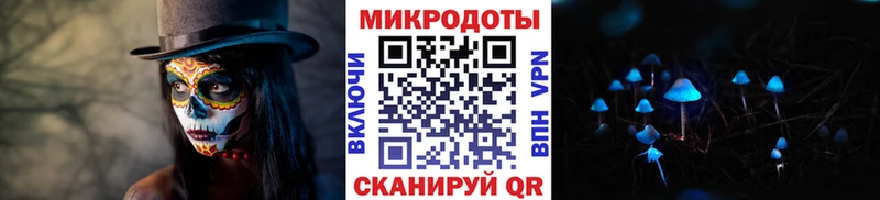Псилоцибиновые грибы Cubensis  Сегежа 